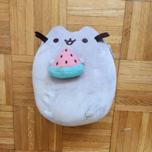 It's Sugar exclusive watermelon Pusheen